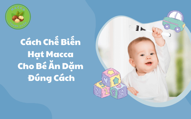 Cách Chế Biến Hạt Macca Cho Bé Ăn Dặm