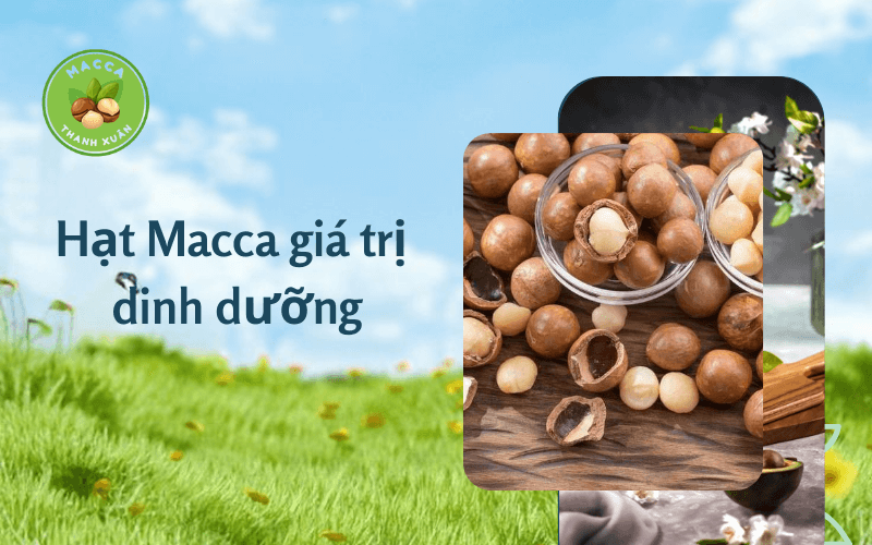 Hạt macca giá trị dinh dưỡng